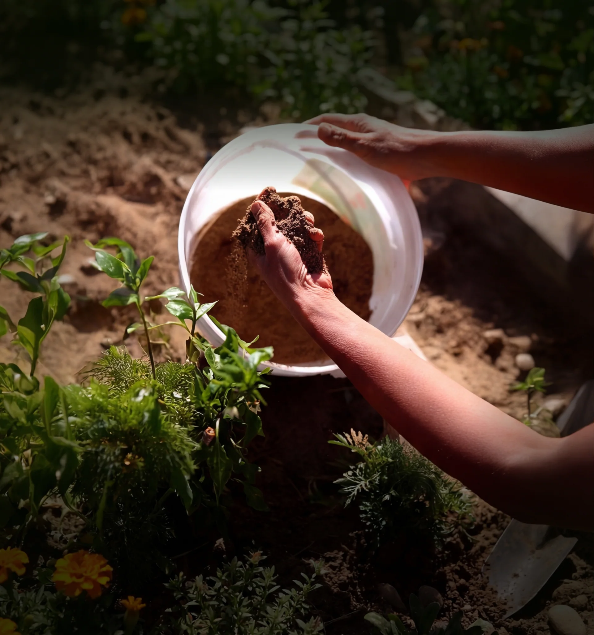 Turn Food Waste Into Gold